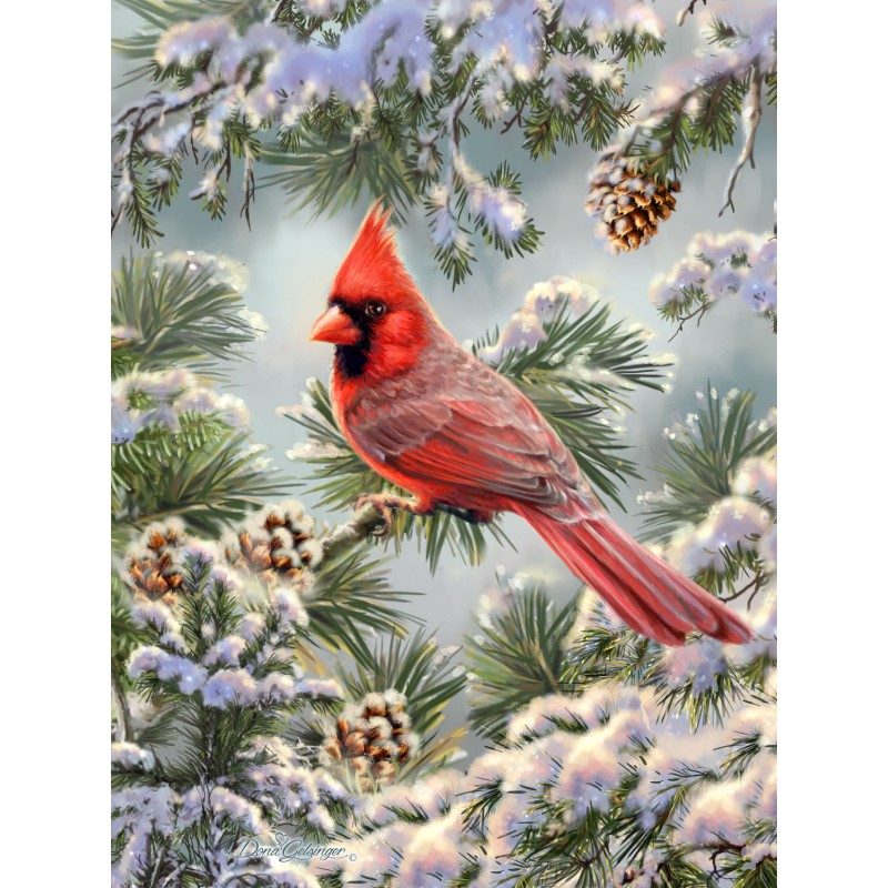 Cute Juvenile Cardinal - Diamond Paintings 