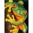 Green Tree Frog with Frame