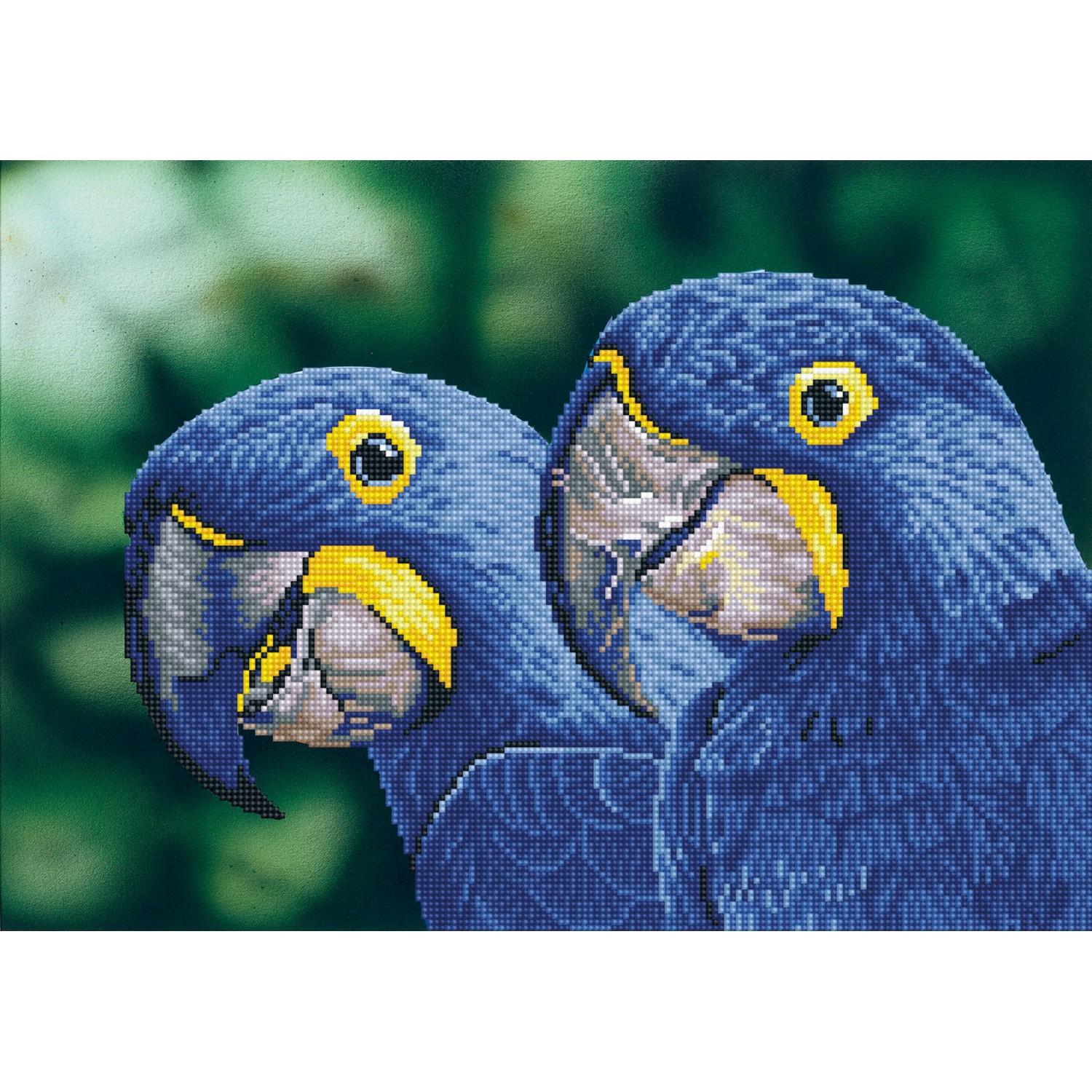 Cool Hyacinth Macaw Blue  #12567 2 x Diamond Stickers 7.5 cm
