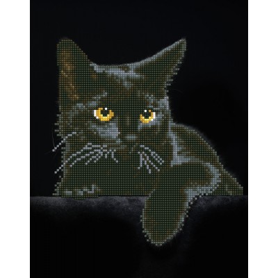 Midnight Cat with Frame