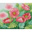 Watercolour Poppies