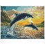 Dolphin Sunset - Pre-Framed Kit